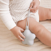Silicone Pacifier Case (Sage/Sky Blue)