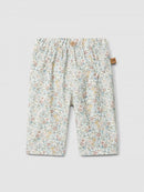 Pants (0001-Multicol)