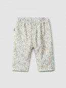 Pants (0001-Multicol)