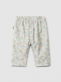 Pants (0001-Multicol)