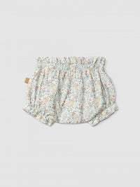 Baby Shorts (0001-Multicol)