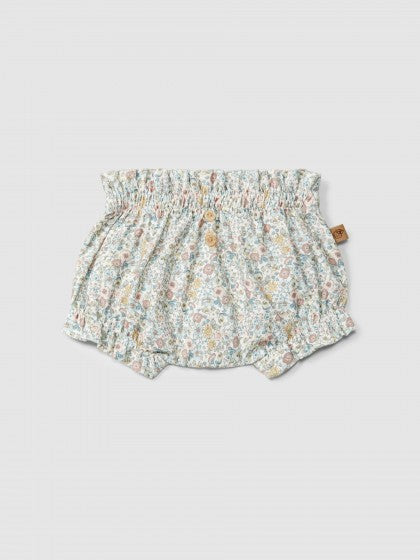 Baby Shorts (0001-Multicol)