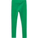 Rib Legging Green
