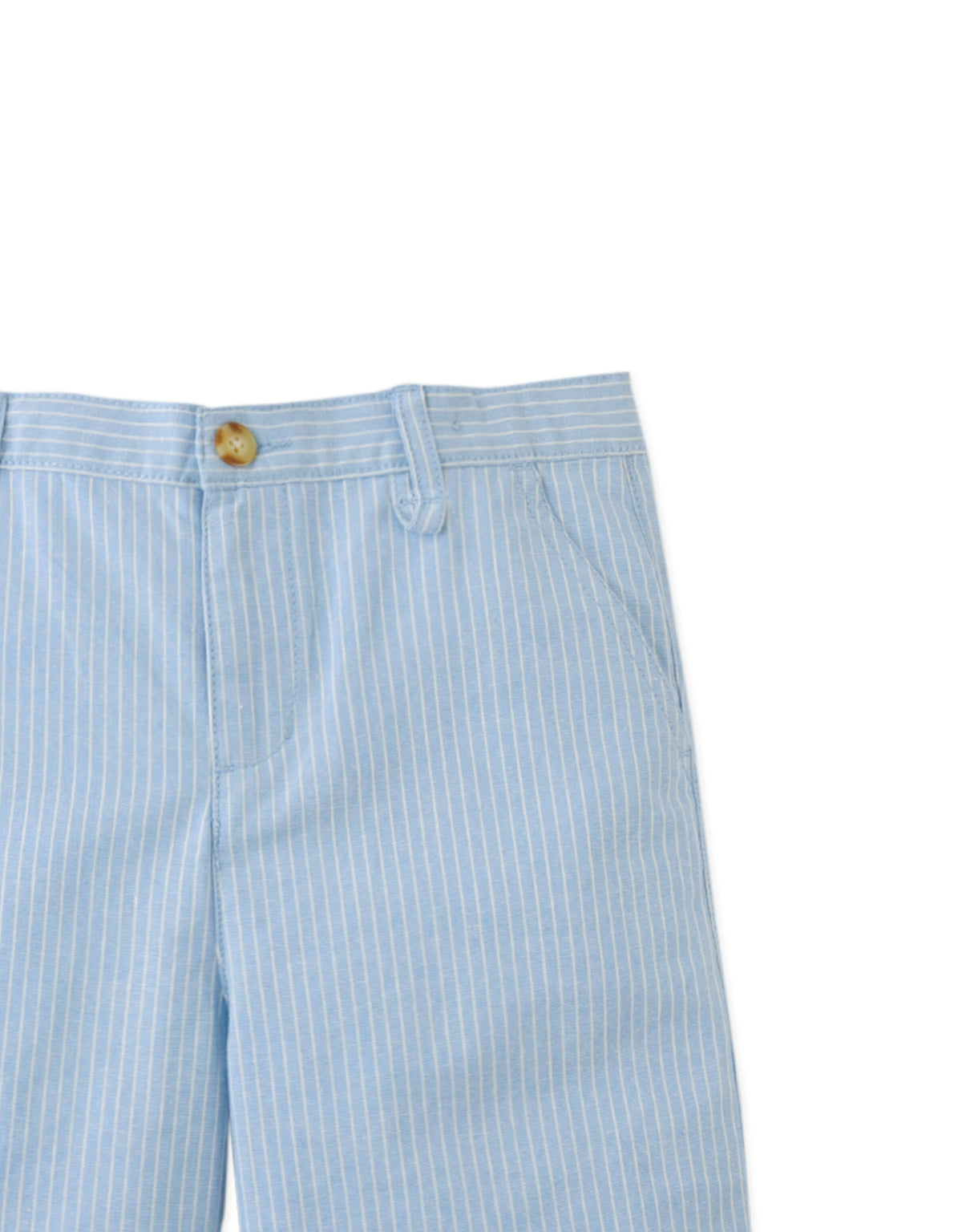 Louis Linen Cotton Stripe Regular Shorts