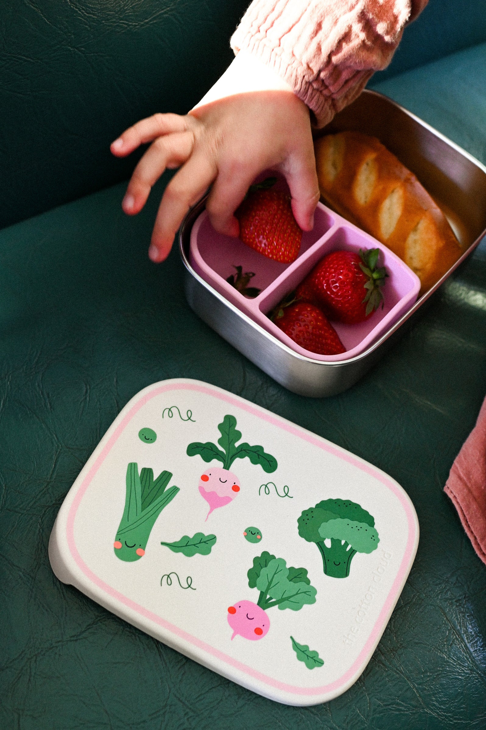 Stainless Steel Lunchbox Veggie Pals