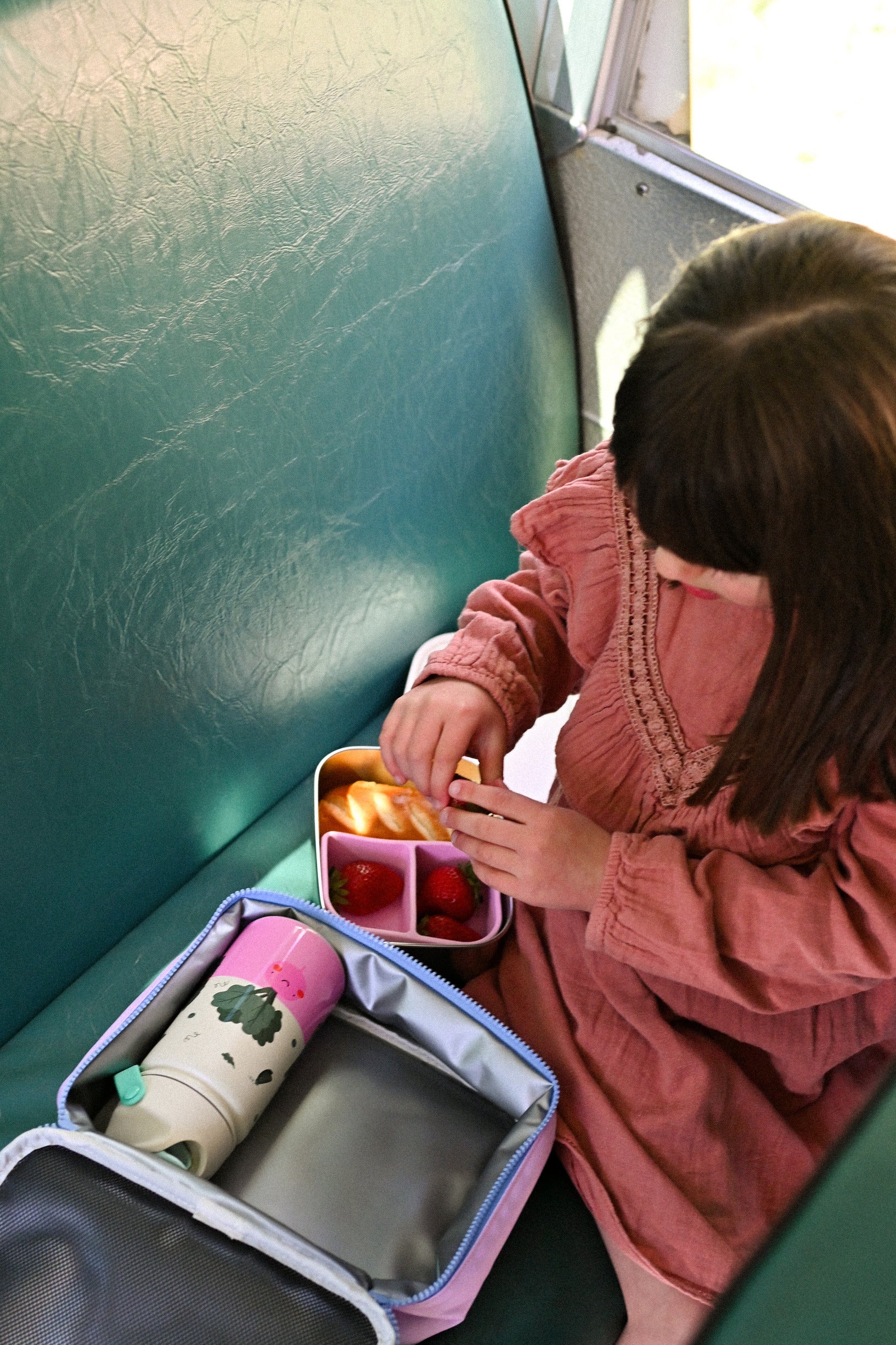 Stainless Steel Lunchbox Veggie Pals