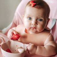Baby Suction Bowl Set (Blush)