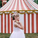 Stripy Star Fabric Clip Set