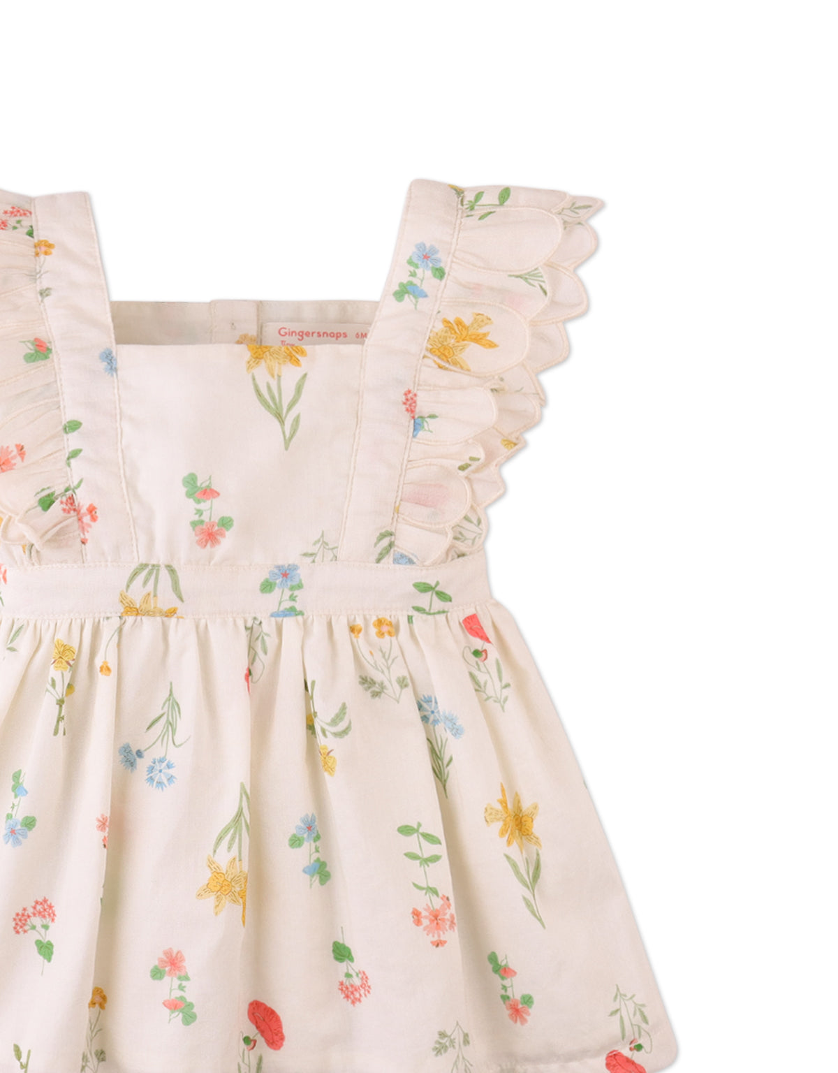 Baby Chisa Dress with Embroidered Petal Ruffle Sleeves