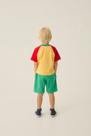 Reading Lion Tshirt
