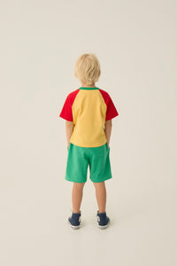 Reading Lion Tshirt