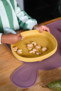 Dish Alfie the Lion Jade