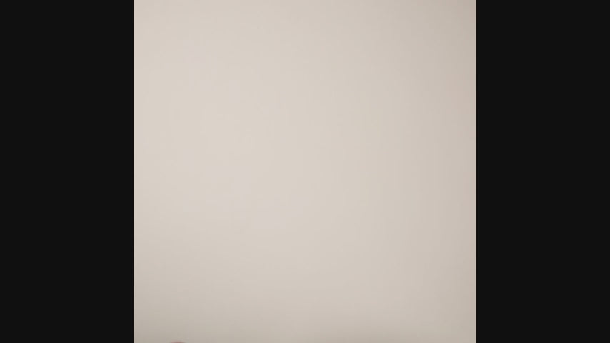 Sticker Activity Notebook/Dino